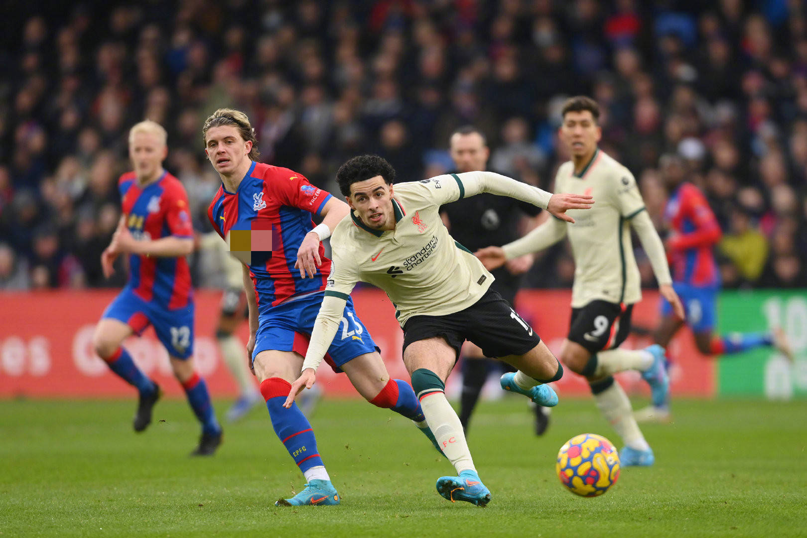 这使得国王 这使得国王